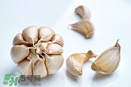 2017過年大蒜會(huì)漲價(jià)嗎？2017年春節(jié)大蒜價(jià)格預(yù)測