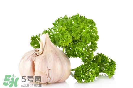 2017過年大蒜會(huì)漲價(jià)嗎？2017年春節(jié)大蒜價(jià)格預(yù)測