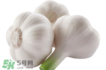2017過年大蒜會(huì)漲價(jià)嗎？2017年春節(jié)大蒜價(jià)格預(yù)測