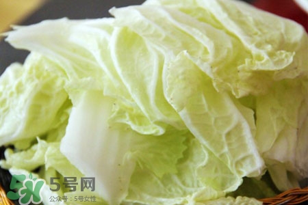 2017過(guò)年白菜會(huì)漲價(jià)嗎？2017年春節(jié)白菜價(jià)格預(yù)測(cè)