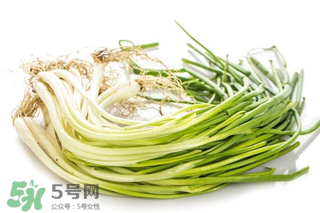 2017過(guò)年小蔥會(huì)漲價(jià)嗎？2017年春節(jié)小蔥價(jià)格預(yù)測(cè)