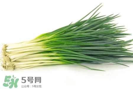 2017過(guò)年小蔥會(huì)漲價(jià)嗎？2017年春節(jié)小蔥價(jià)格預(yù)測(cè)