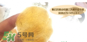 shangpree香蒲麗黃金面膜怎么樣？好用嗎？