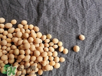 對(duì)心臟有益的食物有哪些？對(duì)心臟有好處的食物大全