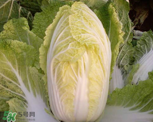 白菜葉子上的小黑點是什么？白菜葉子上有黑點能吃嗎？