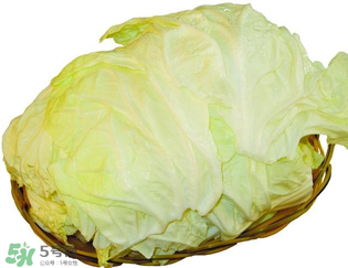 白菜發(fā)苦能吃嗎？大白菜發(fā)苦是什么原因？