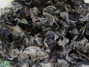 干木耳泡多久可以吃？干木耳泡了兩天還能吃嗎？