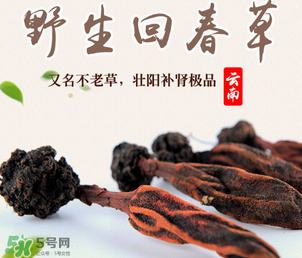 回春草多少錢一斤？回春草多少錢一克？