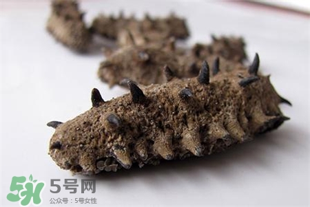 干海參用熱水泡發(fā)嗎?干海參用自來(lái)水泡行嗎?