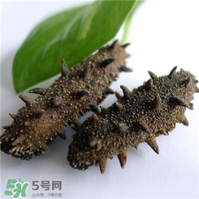 干海參用熱水泡發(fā)嗎?干海參用自來(lái)水泡行嗎?