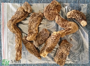 野生肉蓯蓉多少錢一斤？肉蓯蓉價(jià)格一斤多少錢？