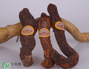 鎖陽和肉蓯蓉一起泡酒可以嗎？肉蓯蓉和鎖陽的區(qū)別