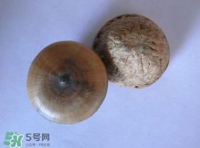 風(fēng)流果多少錢(qián)一斤？風(fēng)流果的價(jià)格