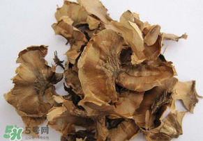 分心木真的能治失眠嗎？分心木治療失眠有奇效
