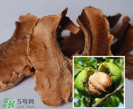 核桃分心木能長期喝嗎？核桃分心木一天喝幾次？