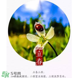 立春可以出門嗎？立春為什么不能出門？