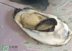 生蠔多少錢一斤？生蠔一斤有幾個(gè)？