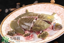 有乙肝可以吃甲魚嗎？乙肝患者禁吃甲魚