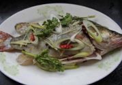 桂魚蒸多長時間？桂魚水開后蒸多長時間？