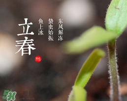 立春吃什么蔬菜？立春時令蔬菜推薦