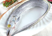 帶魚多少錢一斤？帶魚多少錢一箱？