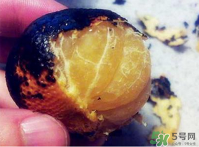 橘子烤著吃會(huì)上火嗎？烤橘子上火嗎？