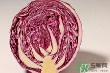 紫甘藍是轉(zhuǎn)基因食品嗎？紫甘藍是轉(zhuǎn)基因蔬菜嗎？