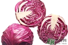 紫甘藍是轉(zhuǎn)基因食品嗎？紫甘藍是轉(zhuǎn)基因蔬菜嗎？