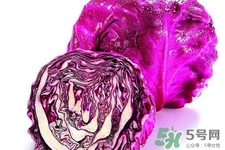 涼拌紫甘藍(lán)用焯水嗎？紫甘藍(lán)涼拌需要焯水嗎？