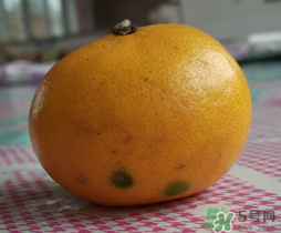 橘子皮發(fā)霉可以吃嗎？吃了發(fā)霉的橘子怎么辦？
