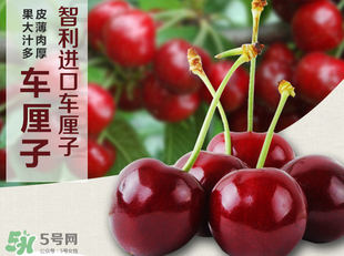 車?yán)遄恿验_能吃嗎？車?yán)遄訛槭裁磿?huì)裂開？