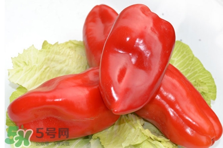 如何挑選紅椒？紅椒怎么挑選？