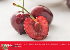 車厘子哪里產(chǎn)的最好？車厘子產(chǎn)地在哪里？