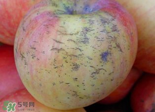 蘋果裂紋能吃嗎？蘋果裂紋是怎么回事？