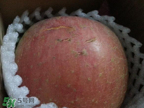 蘋果裂紋能吃嗎？蘋果裂紋是怎么回事？