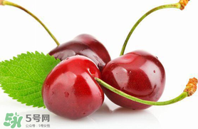 車?yán)遄涌梢詭巷w機(jī)嗎？車?yán)遄幽軒巷w機(jī)嗎？