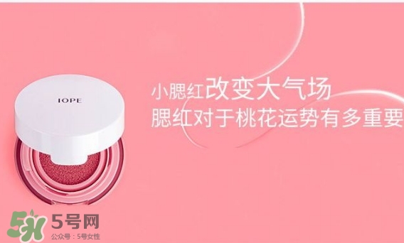 iope氣墊腮紅怎么用？iope亦博氣墊腮紅使用心得