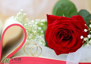 情人節(jié)送什么顏色的玫瑰花好？情人節(jié)送幾朵玫瑰花好？