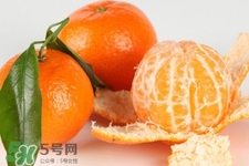 沙糖桔是熱性的嗎？沙糖桔是熱性還是涼性？