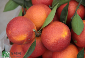 血橙多少錢一斤？四川血橙多少錢一斤？
