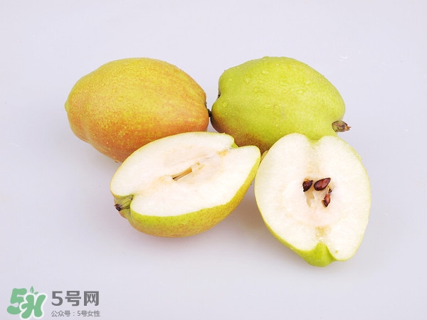 庫(kù)爾勒香梨分公母嗎？庫(kù)爾勒香梨怎么分公母？