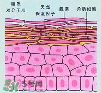 敷面膜真的有效嗎？敷面膜真的有用嗎？