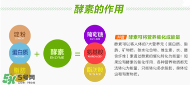 喝酵素拉肚子正常嗎？喝酵素拉肚子的原因