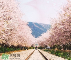 3月份去韓國穿什么？三月份去韓國穿什么衣服？