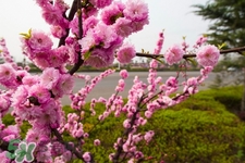 春天養(yǎng)生湯有哪些？春季養(yǎng)生喝什么湯好？