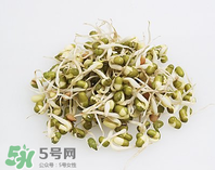 黃豆芽能做餡料嗎？黃豆芽餡包子怎么做？