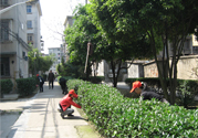 春天吃什么養(yǎng)肝？春季吃什么養(yǎng)肝護(hù)肝？
