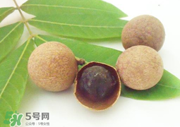 桂圓干多少錢一斤？干桂圓多少錢一斤？