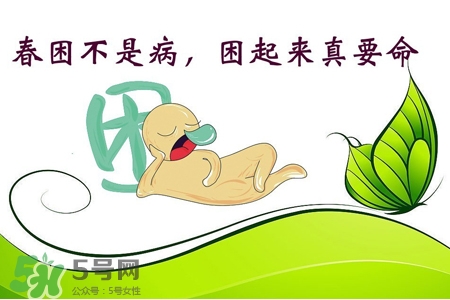 春困來了怎么辦？如何快速趕走春困？