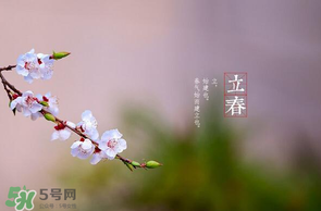 立春后種什么花？立春時開的花有哪些？